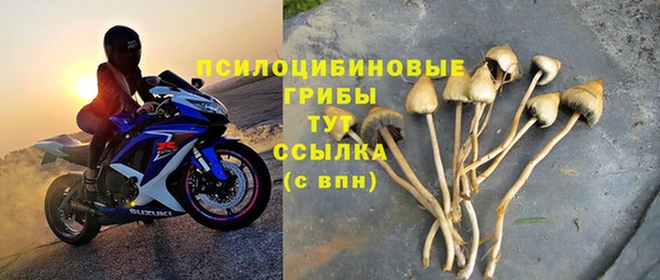 дживик Баксан