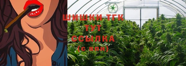 дживик Баксан
