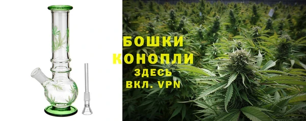 дживик Баксан