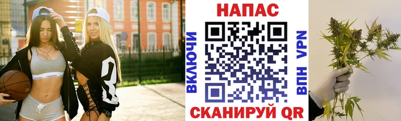 Бошки марихуана гибрид  сколько стоит  Кузнецк 
